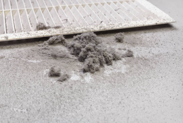 Best Air Duct Cleaning Near Me  in Downey, CA